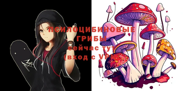 герыч Алексин