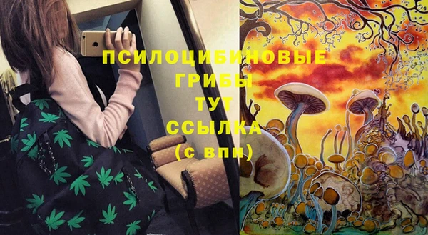 ешки Алзамай