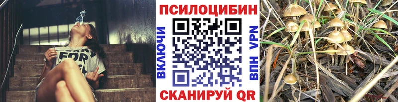 Псилоцибиновые грибы Psilocybe Мытищи