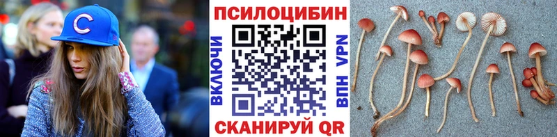 Псилоцибиновые грибы MAGIC MUSHROOMS  Мытищи 